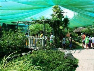 Pineapple Island Resort Daet Buitenkant foto